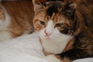 Aby_20170115_0002_klein