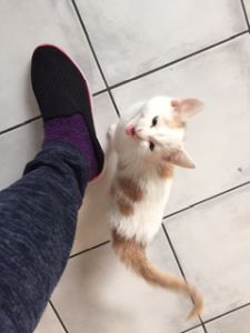 amun_20161129_0004_klein