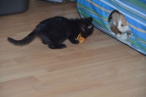 anakin_20161016_0002_klein