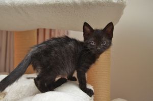 anakin_20161019_0003_klein