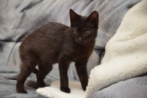 Anakin_20161219_0010_klein