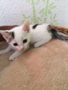 Anna_20151018_0004_klein