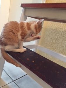 anuktet_20161129_0001_klein