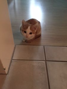 anuktet_20161129_0002_klein