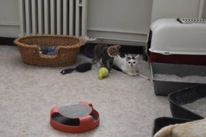 arwen-trixy_20160905_0001_klein