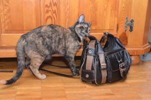 arwen_20161113_0011_klein