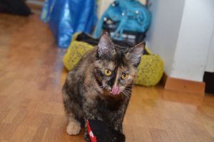 arwen_20161113_0017_klein