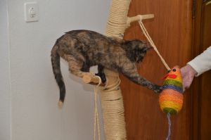 arwen_20161113_0019_klein