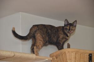 arwen_20161113_0021_klein