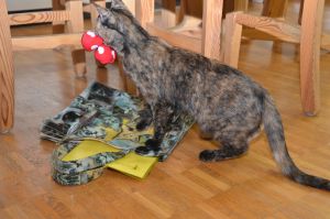 arwen_20161113_0032_klein