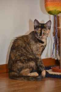 arwen_20161113_0036_klein