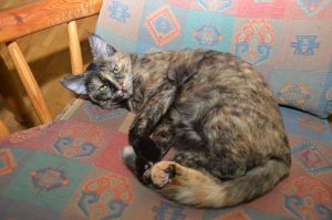 arwen_20161113_0041_klein