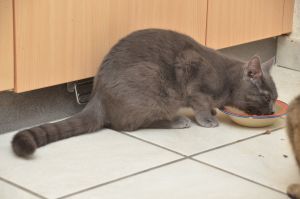 blue_20170107_0004_klein