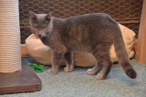 blue_20170107_0011_klein