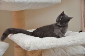 blue_20170107_0015_klein