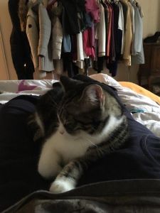 Charly_20170208_0002_klein