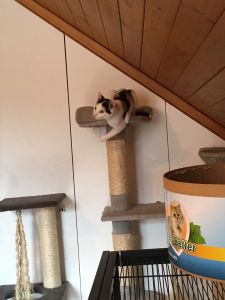 Cindy_20160917_0005_klein