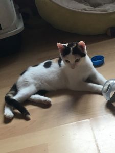 Cindy_20160917_0009_klein