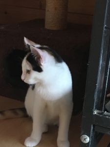 Cindy_20160917_0010_klein