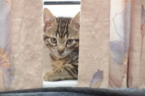 Crush_20161209_0005_klein