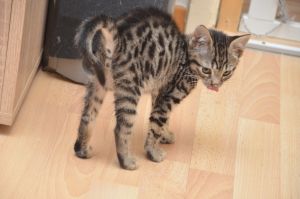 Crush_20161209_0008_klein