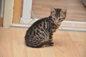 Crush_20161209_0009_klein