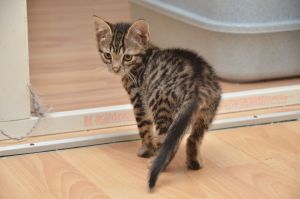 Crush_20161209_0010_klein