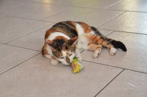 Dana_20170211_0007_klein