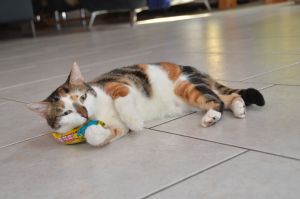 Dana_20170211_0008_klein