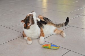 Dana_20170211_0010_klein