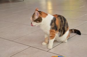 Dana_20170211_0011_klein