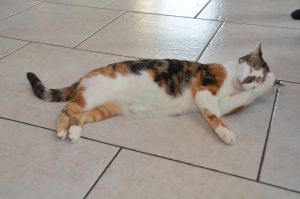 Dana_20170211_0013_klein