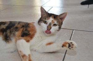 Dana_20170211_0014_klein