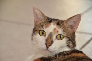 Dana_20170211_0018_klein