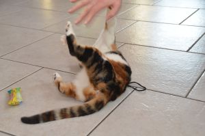 Dana_20170211_0021_klein