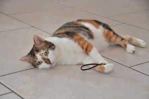 Dana_20170211_0023_klein