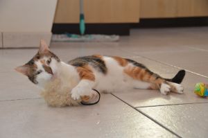 Dana_20170211_0026_klein