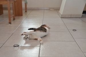 Dana_20170211_0030_klein