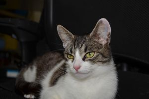 Diggi_20150531_0007_klein