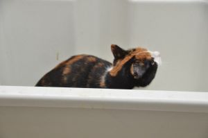 Emily_20160116_0008_klein