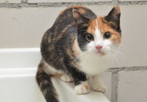 Emily_20160116_0011_1_klein