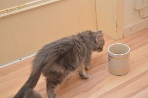 Faith_20161209_0004_klein