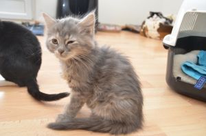 Faith_20161209_0006_klein