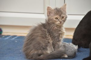 Faith_20161209_0011_klein