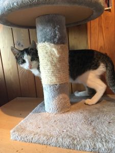 Farina_20160917_0001_klein