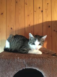 Farina_20160917_0002_klein