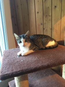 Farina_20160917_0004_klein