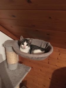 Farina_20160917_0006_klein