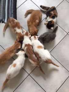 godsofegypt_20161129_0001_klein