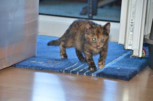 hope_20160916_0002_klein